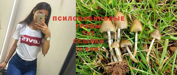героин Алзамай